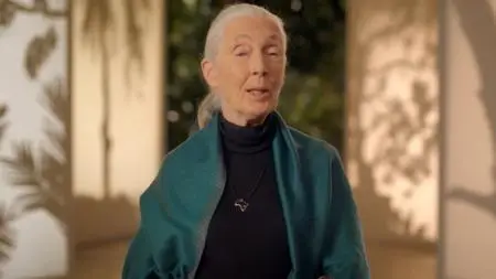 MasterClass - Dr. Jane Goodall Teaches Conservation (2017)