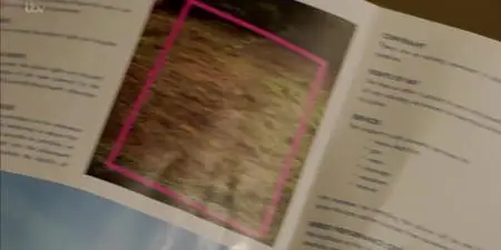 Finding Alice S01E04