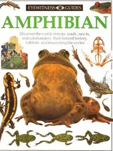 Amphibian (Eyewitness Guides) by Barry Clarke