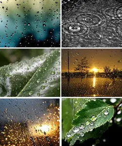 Wallpapers Beautiful Rain