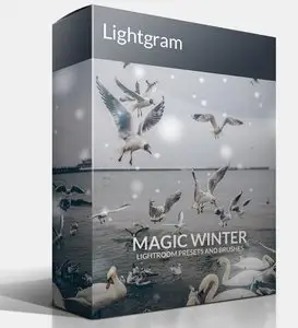 Lightgram Magic Winter Vol.I Lightroom Presets
