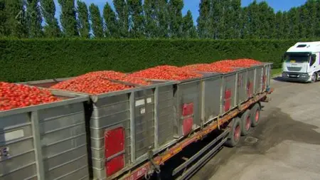 Channel 4 - Food Unwrapped: Series 5 (2015)