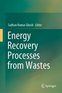 Energy Recovery Processes from Wastes
