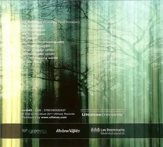 Aes Dana - Perimeters (2011)