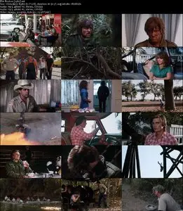 Ruckus (1980) 