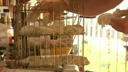 Top-Secret Recipe - Season 1 (2011)