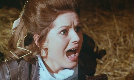 The Beast in the Cellar (1970) 