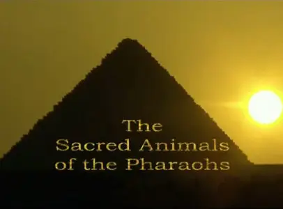 The Sacred Animals of the Pharaohs / Священные животные фараонов (2006)