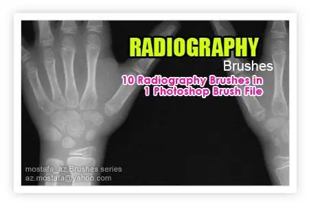 10 Radiography Brushes