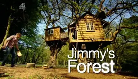 Channel 4 - Jimmy's Forest (2012)