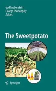 The Sweetpotato [Repost]