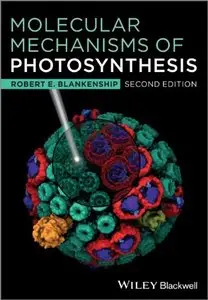 Molecular Mechanisms of Photosynthesis (2nd Edition)
