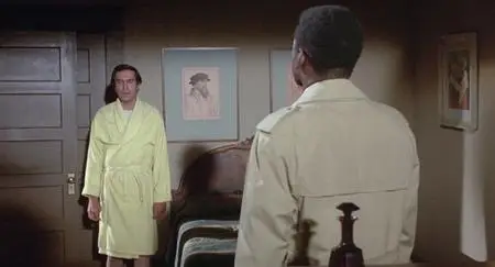 They Call Me Mister Tibbs! (1970)