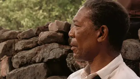 The Shawshank Redemption (1994) HD 1080p (Repost)