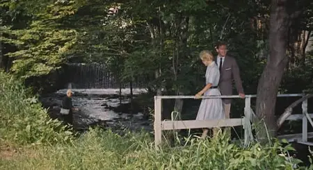 It Happened to Jane (1959)