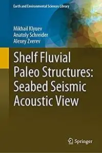 Shelf Fluvial Paleo Structures