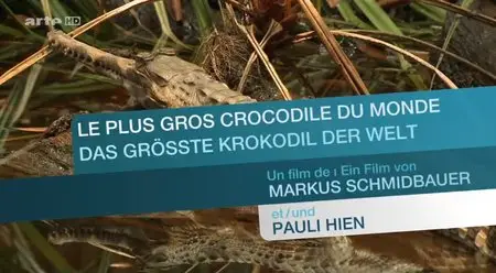 (Arte) Le plus gros crocodile du monde (2013)