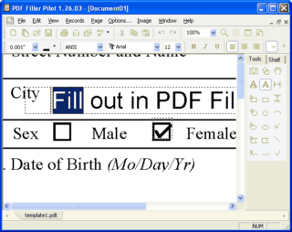 PDF Filler Pilot ver. 1.28.1