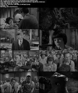 To Kill a Mockingbird (1962)