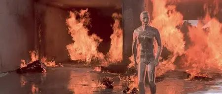 Terminator 2: Judgment Day (1991) 3 in 1