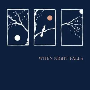 Angelo Verploegen - When Night Falls (2022) [Official Digital Download 24/192]