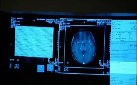 The Secret Life of the Brain (2002) [repost]