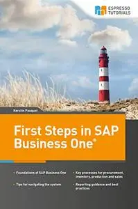 First Steps in SAP Business One