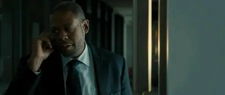 The Last Stand (2013)