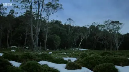 Natural World S38E08
