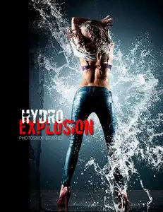 Rons Hydro Explosion Brushes