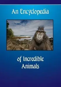An Encyclopedia of Incredible Animals (repost)
