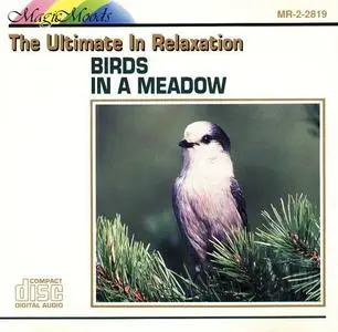 Learning Company - Bird In a Meadow - 1995