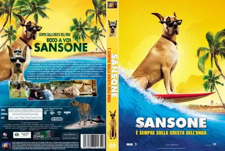 Sansone (2010)