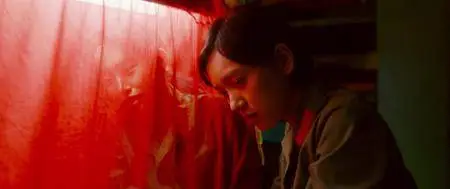 Youth (2017)