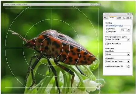Atrise Golden Section 4.1.1 Portable