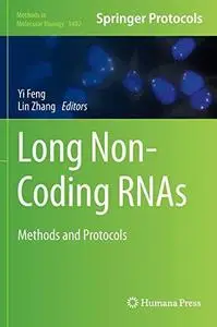 Long Non-Coding RNAs: Methods and Protocols (repost)