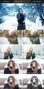CreativeMarket - Winter Breeze Lightroom Presets