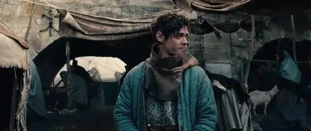 The Physician (2013)