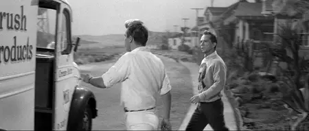 Kiss Me, Stupid (1964)