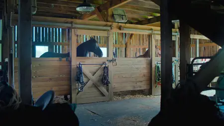 Teacup S01E01