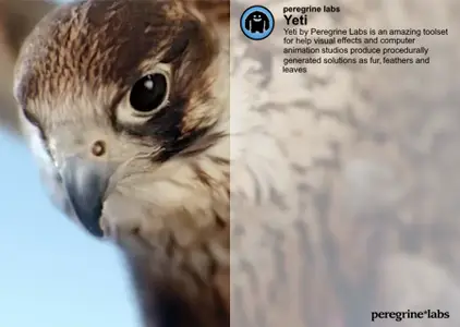 PeregrineLabs Yeti 5.2.3