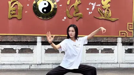 Yang-Style Tai Chi: 13 Postures of Divine Alchemy