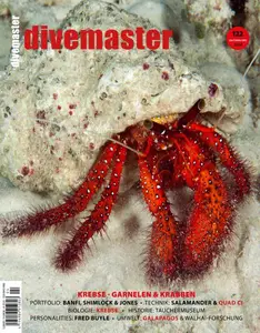 DiveMaster - Oktober-Dezember 2024