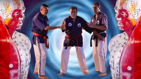 Kyusho-Jitsu Yin & Yang Quadranten Theorie