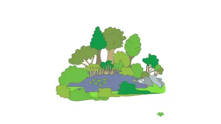 Plant Families for Natural Gardeners
