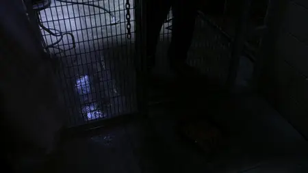 Criminal Minds S09E18