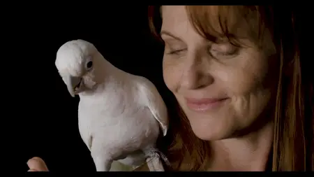 Parrot Kindergarten (2025)