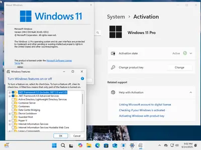 Windows 11 Pro 24H2 Build 26100.4351 (No TPM Required) With Office 2024 Pro Plus Multilingual Preactivated June 2025