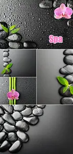 Stock Photo - Black Spa