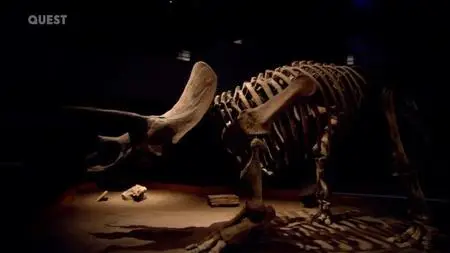 Discovery Channel - When Dinosaurs Roamed America (2001)